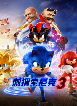 刺猬索尼克3